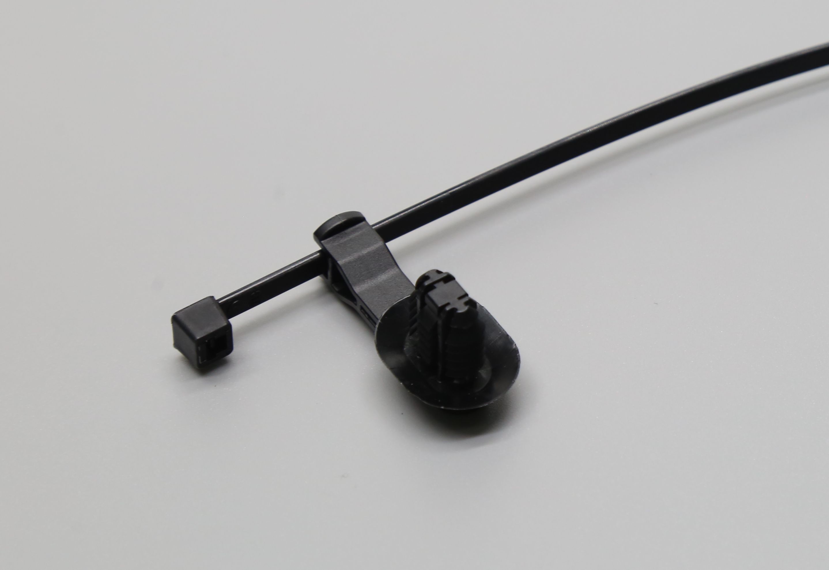 T50RFTOVAL25R-B